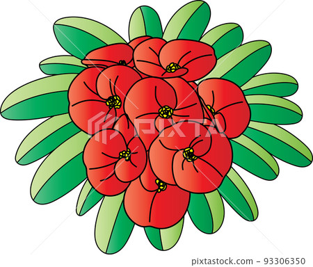 Abstract Crown of Thorns, Christ Thorn flower. Abstract Crown of Thorns, Christ Thorn flower. 93306350