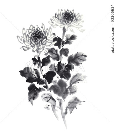 Beautifully blooming chrysanthemum flowers ink painting Beautifully blooming chrysanthemum flowers ink painting 93306634