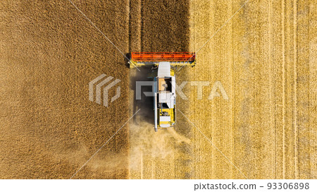 Agriculture. View from the air. Harvester collects on the field of ripe wheat. Industry. Agriculture. View from the air. Harvester collects on the field of ripe wheat. Industry. 93306898