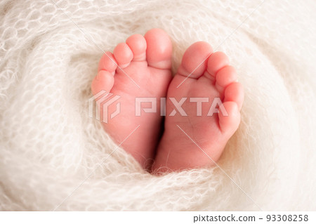 Soft feet of a newborn in a white woolen blanket. Close-up of toes, heels and feet of a newborn baby. The tiny foot of a newborn. Studio Macro photography. Baby feet covered with isolated background.  93308258