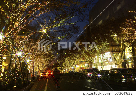 Harajuku/Omotesando Christmas illumination 93308632