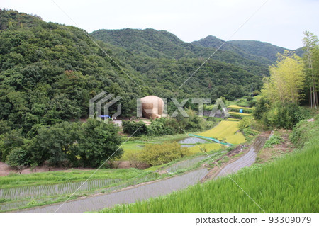 Shodoshima Shodoshima 93309079