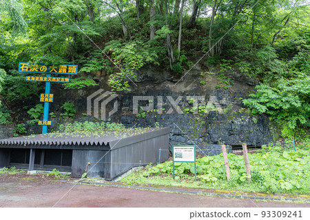 夕張市煤炭博物館的煤炭露頭 93309241