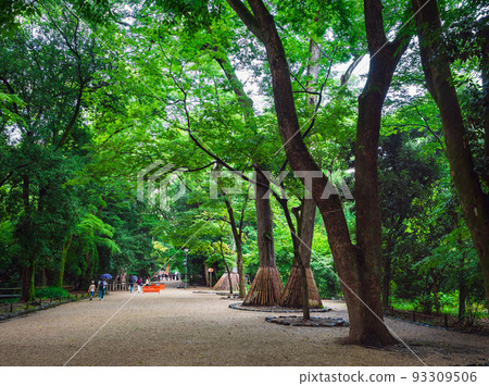 京都森林 京都森林 93309506