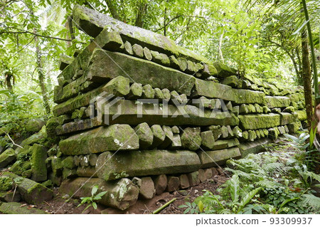 The world heritage site Nan Madol in Pohnpei, Micronesia. 93309937