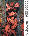 Flock of red clover 93310000