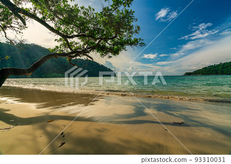 Beautiful Mai ngam beach in Koh Surin national park, the famous free driving spot in Pang Nga, Thailand 93310031