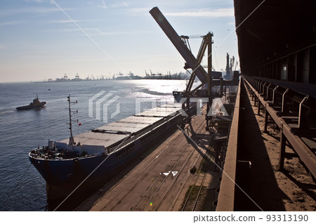 Loading grain into holds of sea cargo vessel in seaport from grain storage. 93313190