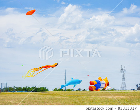 Sunny view of some kites flying 93313317