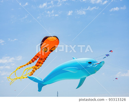 Sunny view of some kites flying 93313326