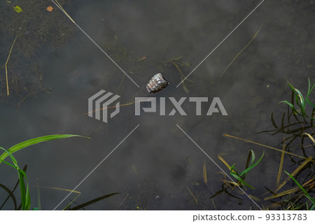 One clear plastic bottle in a polluted pond. A liter or one and a half liter container oscillates swaying like a float on the surface of the muddy waters of the river among green algae 93313783