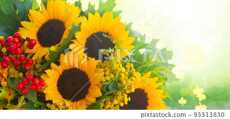 Sunflowers with green leaves 93313830