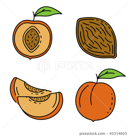 Peach icons set line color vector Peach icons set line color vector 93314603