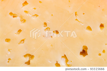 A piece of Russian cheese with holes close-up. A piece of Russian cheese with holes close-up. 93315666