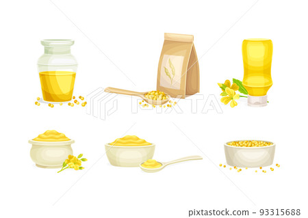 Mustard Yellow Paste in Bowl, Oil in Glass Jar and Grain or Seeds Vector Set 93315688
