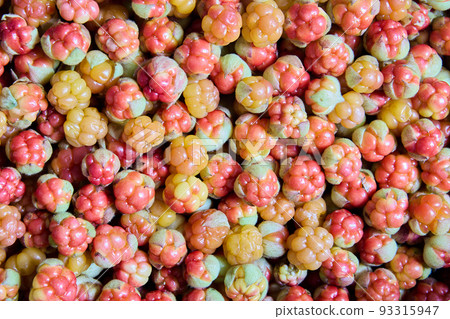 Full frame texture of cloudberries are scattered on table to dry. Full frame texture of cloudberries are scattered on table to dry. 93315947