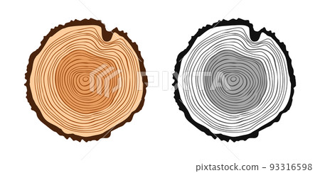 Round tree trunk cuts in various colors, sawn pine or oak slices, lumber. Saw cut timber, wood. Brown wooden texture with tree rings. Hand drawn sketch. Vector illustration Round tree trunk cuts in various colors, sawn pine or oak slices, lumber. Saw cut timber, wood. Brown wooden texture with tree rings. Hand drawn sketch. Vector illustration 93316598