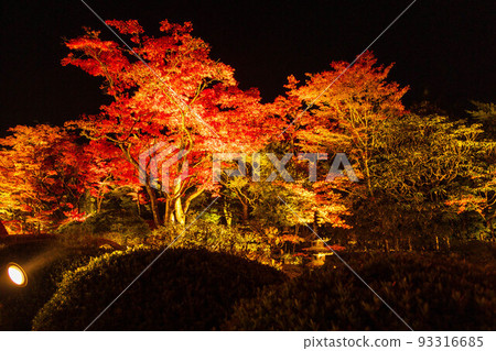 被列入世界遺產“日光神社寺院”的日光山輪王寺松陽園的紅葉燈火通明 93316685