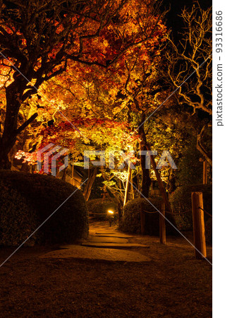Nikkosan Rinnoji Shoyoen, a component of the World Heritage "Shrines and Temples of Nikko," lit up with autumn leaves 93316686