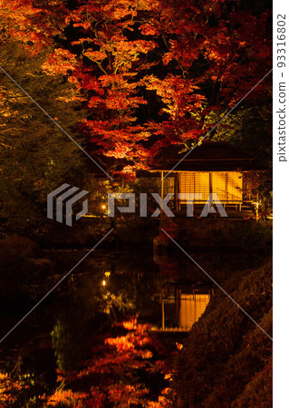 被列入世界遺產“日光神社寺院”的日光山輪王寺松陽園的紅葉燈火通明 被列入世界遺產“日光神社寺院”的日光山輪王寺松陽園的紅葉燈火通明 93316802