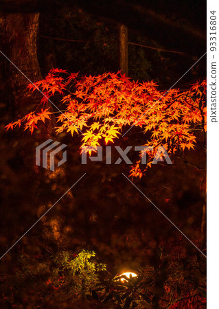 Nikkosan Rinnoji Shoyoen, a component of the World Heritage "Shrines and Temples of Nikko," lit up with autumn leaves Nikkosan Rinnoji Shoyoen, a component of the World Heritage "Shrines and Temples of Nikko," lit up with autumn leaves 93316804