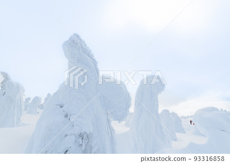 Whiteout Yamagata Zao's tree ice 93316858