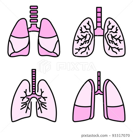 Lung icon set line color vector 93317070