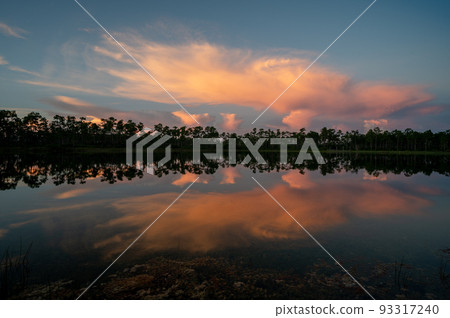 Colorful sunrise cloudscape over Long Pine Key in Everglades National Park. Colorful sunrise cloudscape over Long Pine Key in Everglades National Park. 93317240