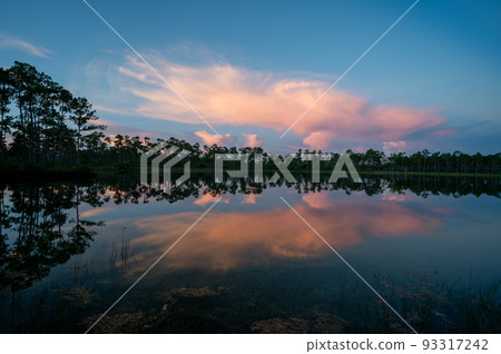 Colorful sunrise cloudscape over Long Pine Key in Everglades National Park. Colorful sunrise cloudscape over Long Pine Key in Everglades National Park. 93317242