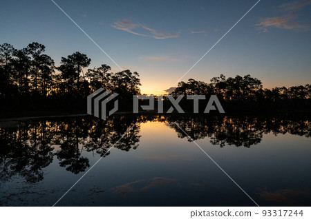 Colorful sunrise cloudscape over Long Pine Key in Everglades National Park. Colorful sunrise cloudscape over Long Pine Key in Everglades National Park. 93317244