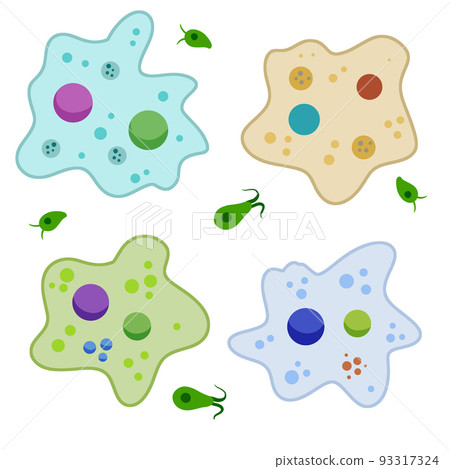 Amoeba cell. Small unicellular animal. Virus and bacteria. Education and science. 93317324