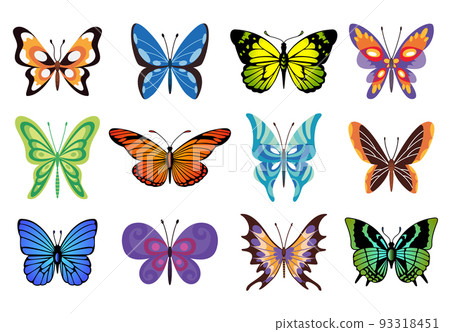 Collection of color butterfly. Hand drawn moth wings or insects. Tropical animals. Isolated vector icons set Collection of color butterfly. Hand drawn moth wings or insects. Tropical animals. Isolated vector icons set 93318451