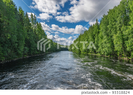 River in the summer forest. 93318824