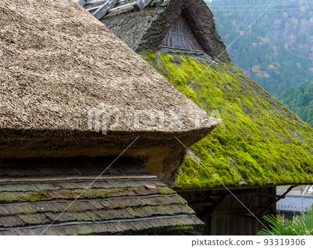 old and new thatched roof 93319306