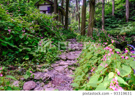 Autumn seaweed blooming approach 93319631