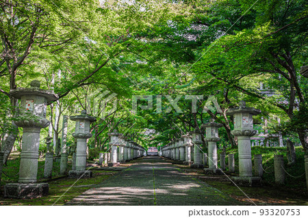 Scenery of Kozanji Temple Scenery of Kozanji Temple 93320753