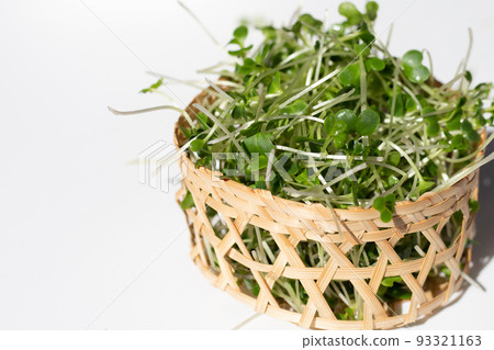 Organic kale sprouts on white background. Organic kale sprouts on white background. 93321163
