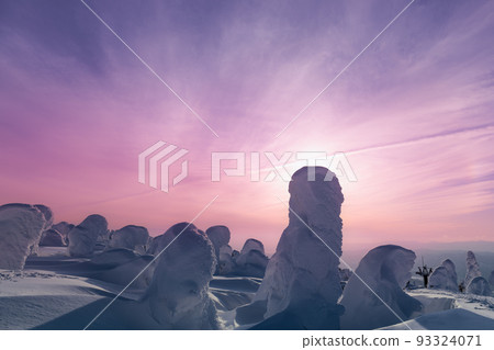 夕陽下山形藏王銀世界的白雪覆蓋的樹木 夕陽下山形藏王銀世界的白雪覆蓋的樹木 93324071