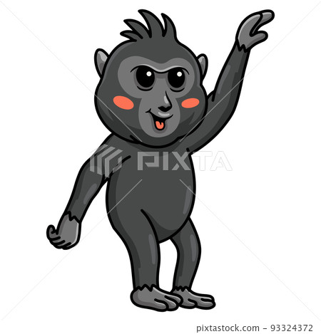 Cute little crested black macaque cartoon	 93324372