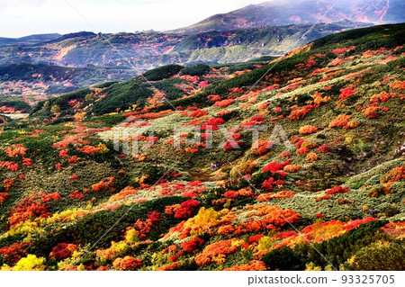 Daisetsuzan, Hokkaido Autumn leaves of Mt. Asahidake 93325705