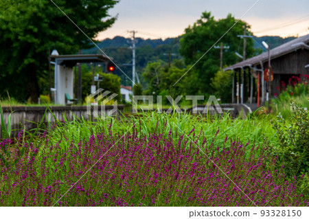 Ichinomiya, Mori-machi, Shuchi-gun, Shizuoka Prefecture Tenryu Hamanako Railway and scenery along the line 93328150