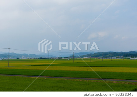 靜岡縣守知郡森町 稻田與田園風光 93328343