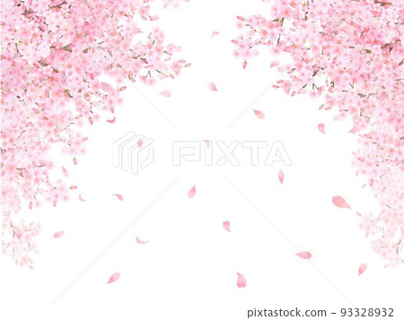 Beautiful and gorgeous pale pink cherry blossoms in full bloom and petals fluttering spring white back frame vector material illustration Beautiful and gorgeous pale pink cherry blossoms in full bloom and petals fluttering spring white back frame vector material illustration 93328932