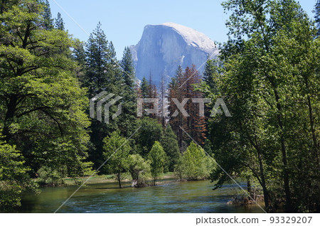 從Sentinel橋樑看的半圓頂和默塞德河在優勝美地，美國 93329207