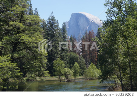 Half Dome and Merced River seen from Sentinel Bridge in Yosemite, USA Half Dome and Merced River seen from Sentinel Bridge in Yosemite, USA 93329208