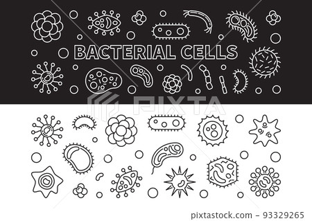 Bacterial cells 2 banners set. Vector outline illustration Bacterial cells 2 banners set. Vector outline illustration 93329265