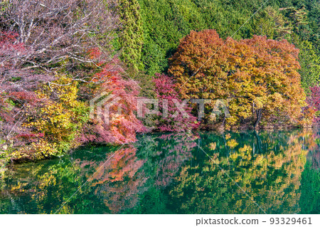 山梨縣南阿爾卑斯市南稻永湖~倒映在湖面上的紅葉~ 山梨縣南阿爾卑斯市南稻永湖~倒映在湖面上的紅葉~ 93329461