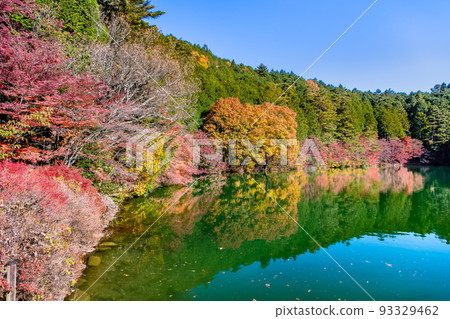 山梨縣南阿爾卑斯市南稻永湖~倒映在湖面上的紅葉~ 山梨縣南阿爾卑斯市南稻永湖~倒映在湖面上的紅葉~ 93329462