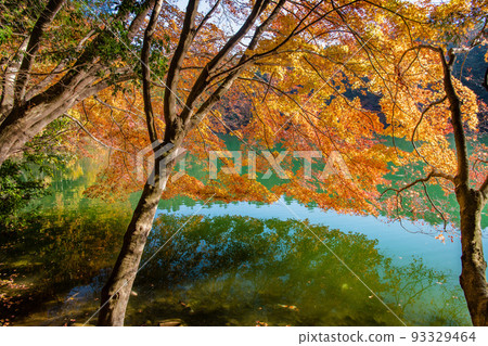 山梨縣南阿爾卑斯市南稻永湖~倒映在湖面上的紅葉~ 山梨縣南阿爾卑斯市南稻永湖~倒映在湖面上的紅葉~ 93329464