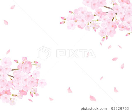 Beautiful and gorgeous light pink cherry blossoms in full bloom and spring white background frame vector material illustration 93329763